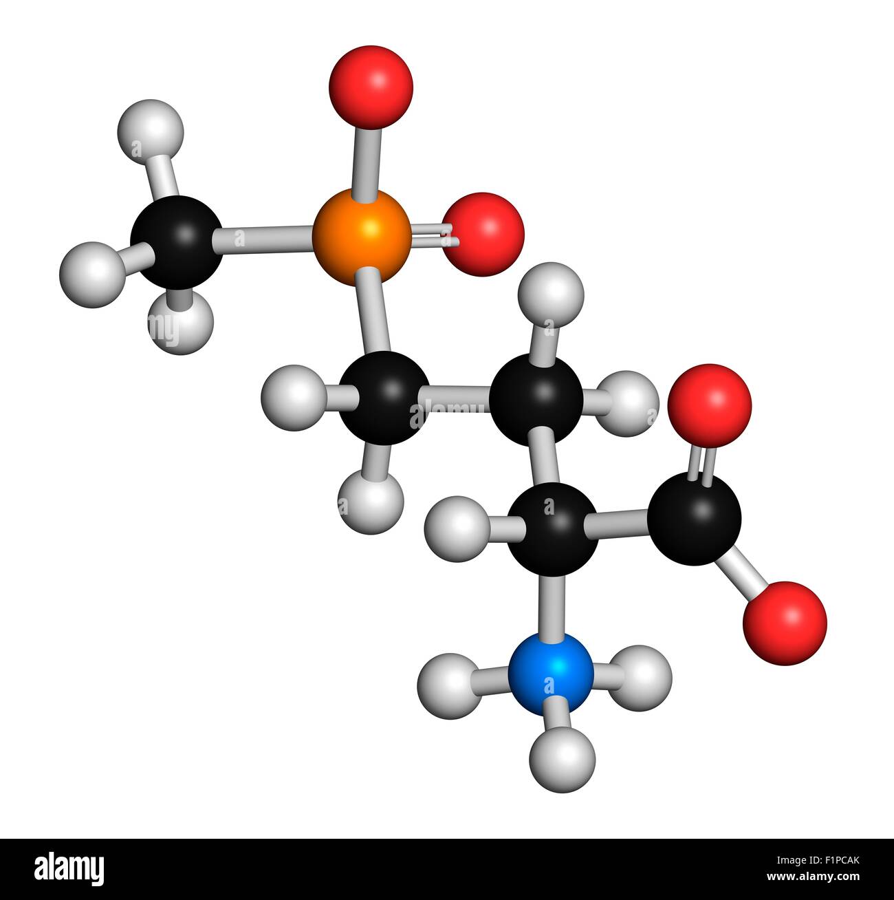 Glufosinate (herbicide non sélectif) de la phosphinothricine transgéniques (OGM) molécule cultures ont été créés qui sont résistantes à d'autres Banque D'Images