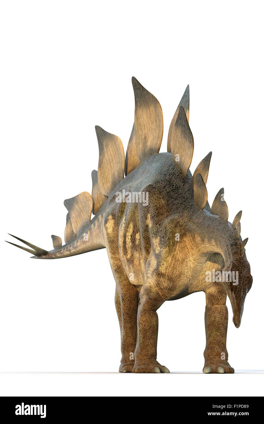 Dinosaure Stegosaur, illustration de l'ordinateur. Banque D'Images