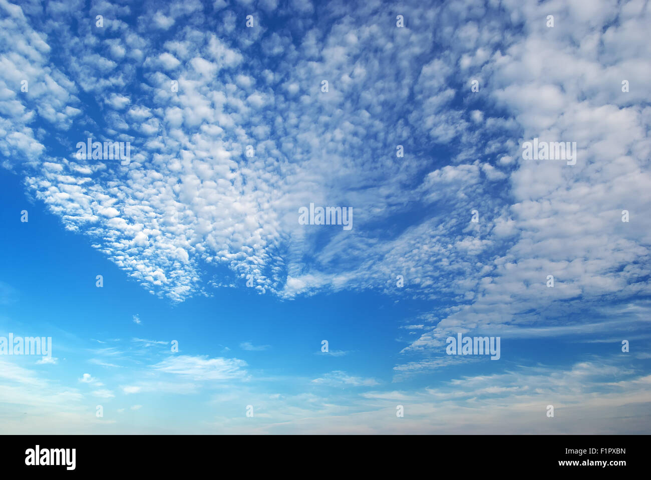 Les cumulus. Ciel bleu avec des nuages. Banque D'Images