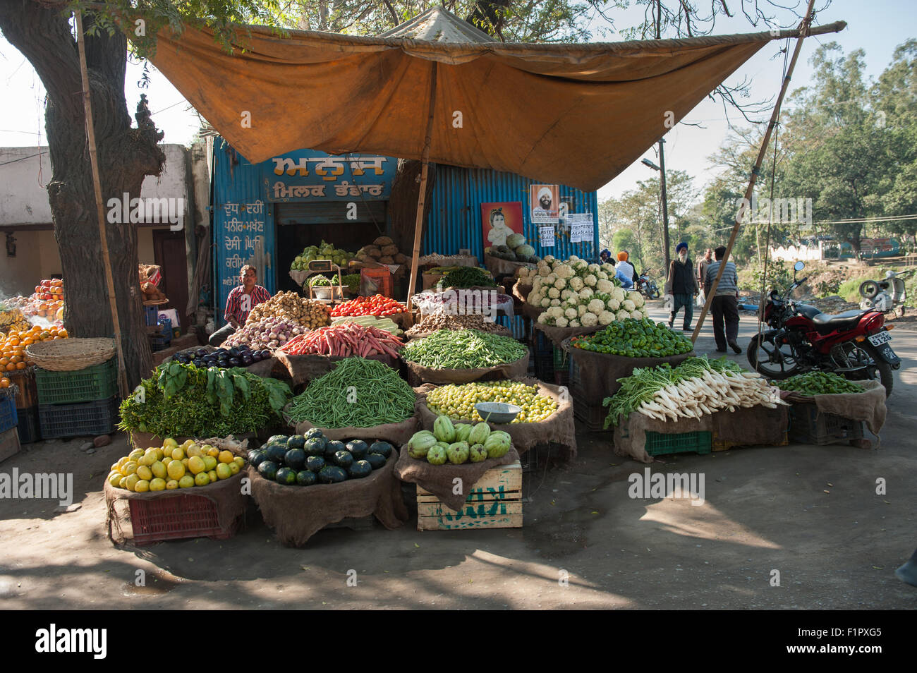 Amritsar, Punjab, India. une échoppe de marché vend des fruits et