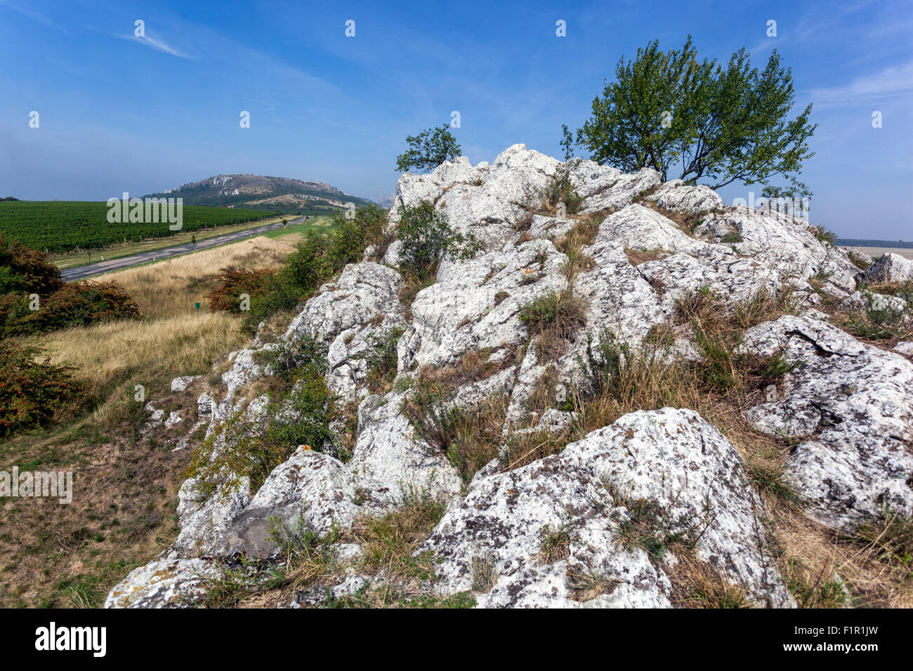 Palava vignobles région collines calcaires, Moravie du Sud, Palavske vrchy République tchèque paysage, Europe campagne paysage nature tchèque Banque D'Images