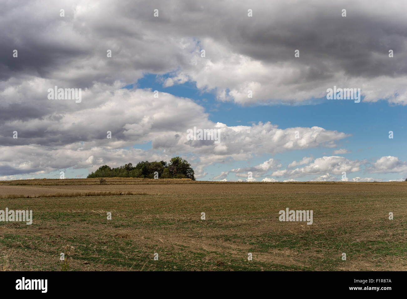 Nimbus gris dramatique nuages dans le ciel au-dessus des champs Basse Silésie Pologne Banque D'Images