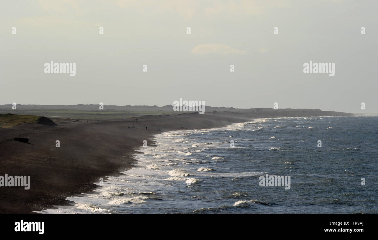 Le vent souffle. Weybourne plage et falaises. Côte nord du comté de Norfolk. L'Angleterre. UK. Le 01/09/2015. Banque D'Images