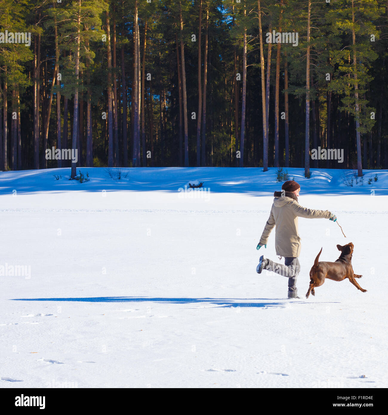 Femme jouant avec son chien sur une journée ensoleillée d'hiver. Vacances d'hiver, la notion de formation de chien Banque D'Images