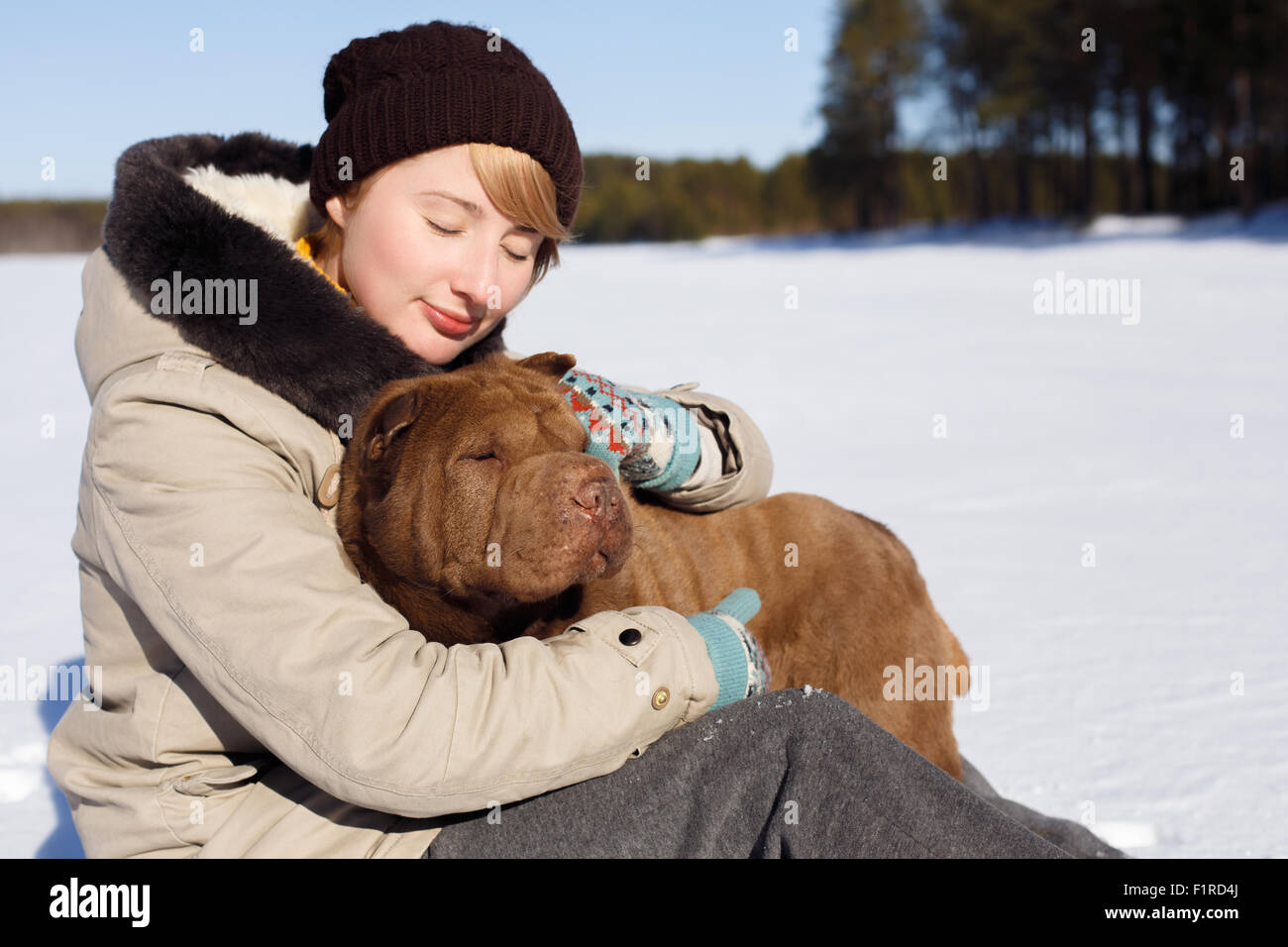 Woman hugging her Shar Pei tout en étant assis sur le champ neigeux près d'un parc Pinery sur une journée ensoleillée. Vacances hiver concept. La formation de chien. Banque D'Images