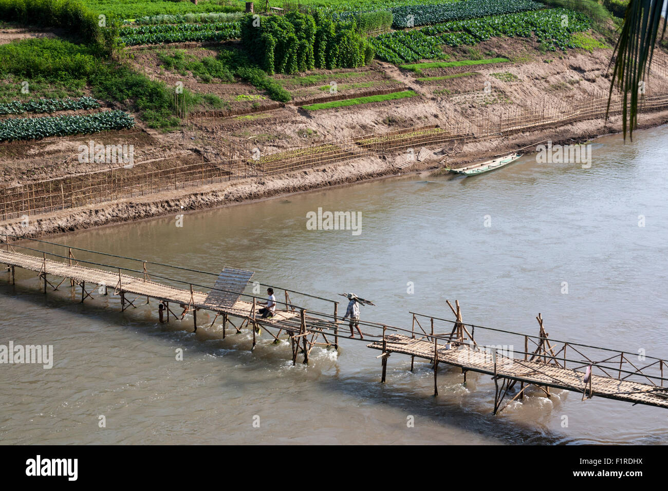 Soldes Travailleur sur un pôle unique alors qu'il complète un pont de bambou de l'autre côté de la rivière Nam Khan au-dessous de Luang Prabang, Laos Banque D'Images