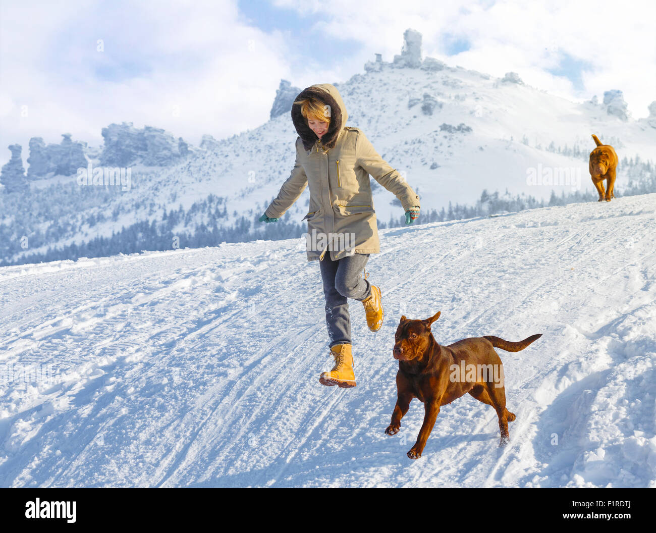 Femme courir et sauter avec des chiens dans la neige domaine contre les montagnes lointaines sur une journée ensoleillée. La lecture, la formation de chien, le bonheur Banque D'Images