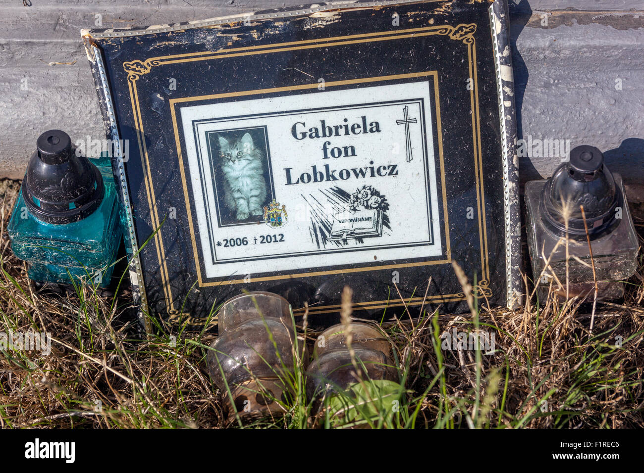 Cat grave, RIP, Gabriela fon Lobkowicz République tchèque Banque D'Images