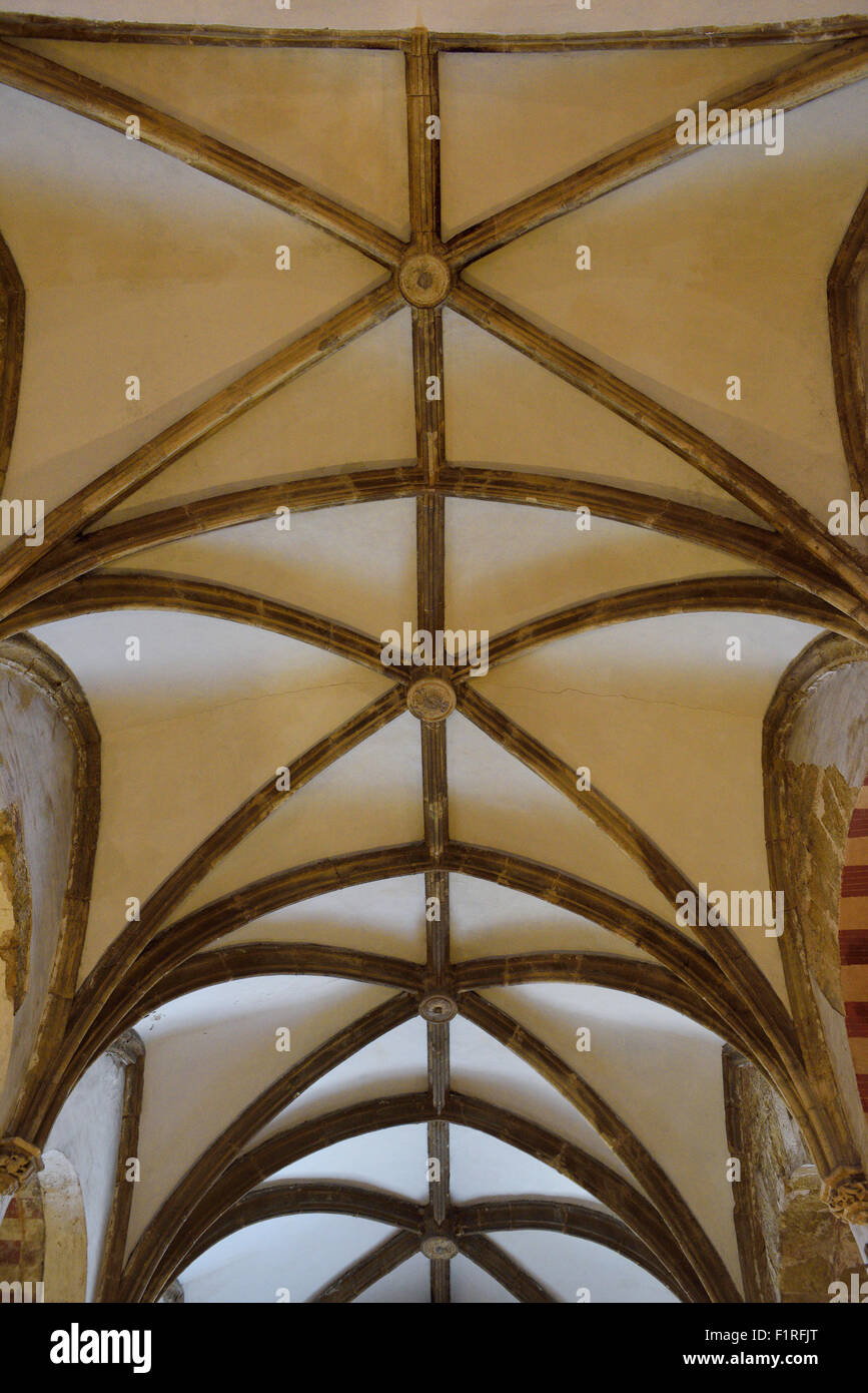 Ancienne haut plafond de la salle hypostyle salle de prière dans la Mosquée Cathédrale de Cordoue Banque D'Images