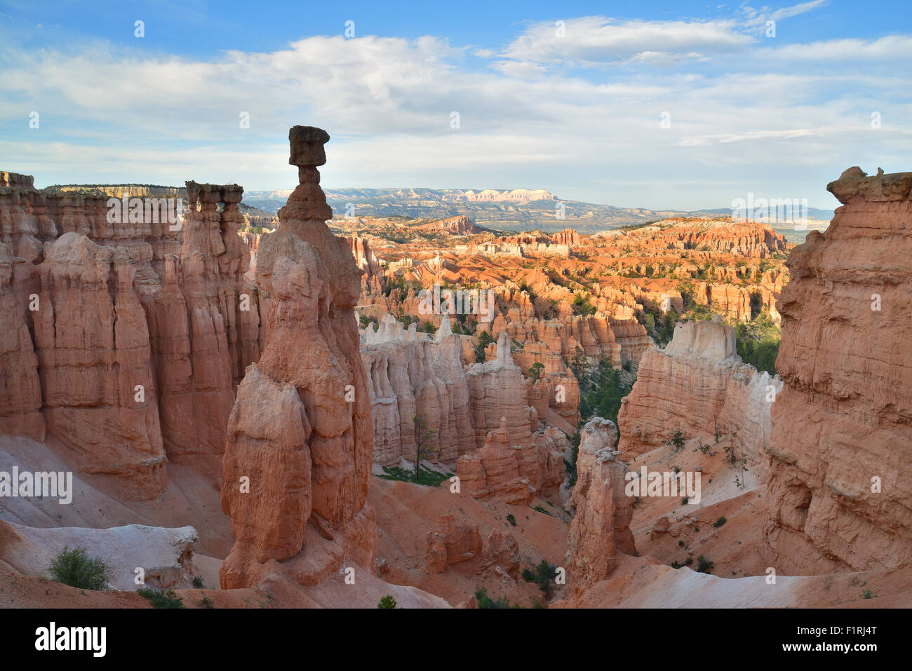 Vue du jardin de boucle Navajo Trail ci-dessous Sunset Point dans le Parc National de Bryce Canyon dans le sud-ouest de l'Utah Banque D'Images