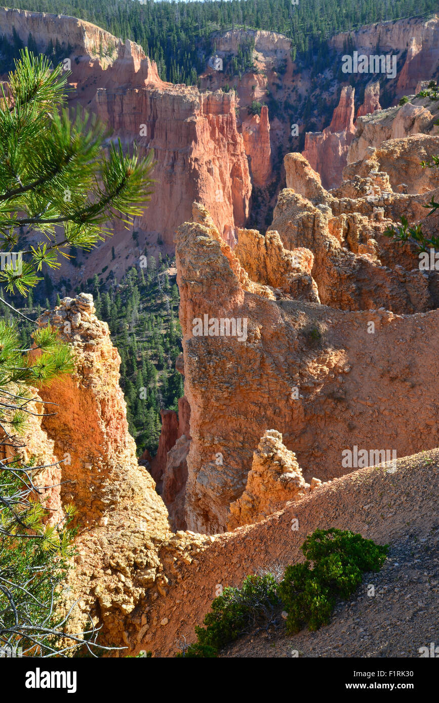 Avis de Paria Canyon de paria oublier dans le Parc National de Bryce Canyon dans le sud-ouest de l'Utah Banque D'Images
