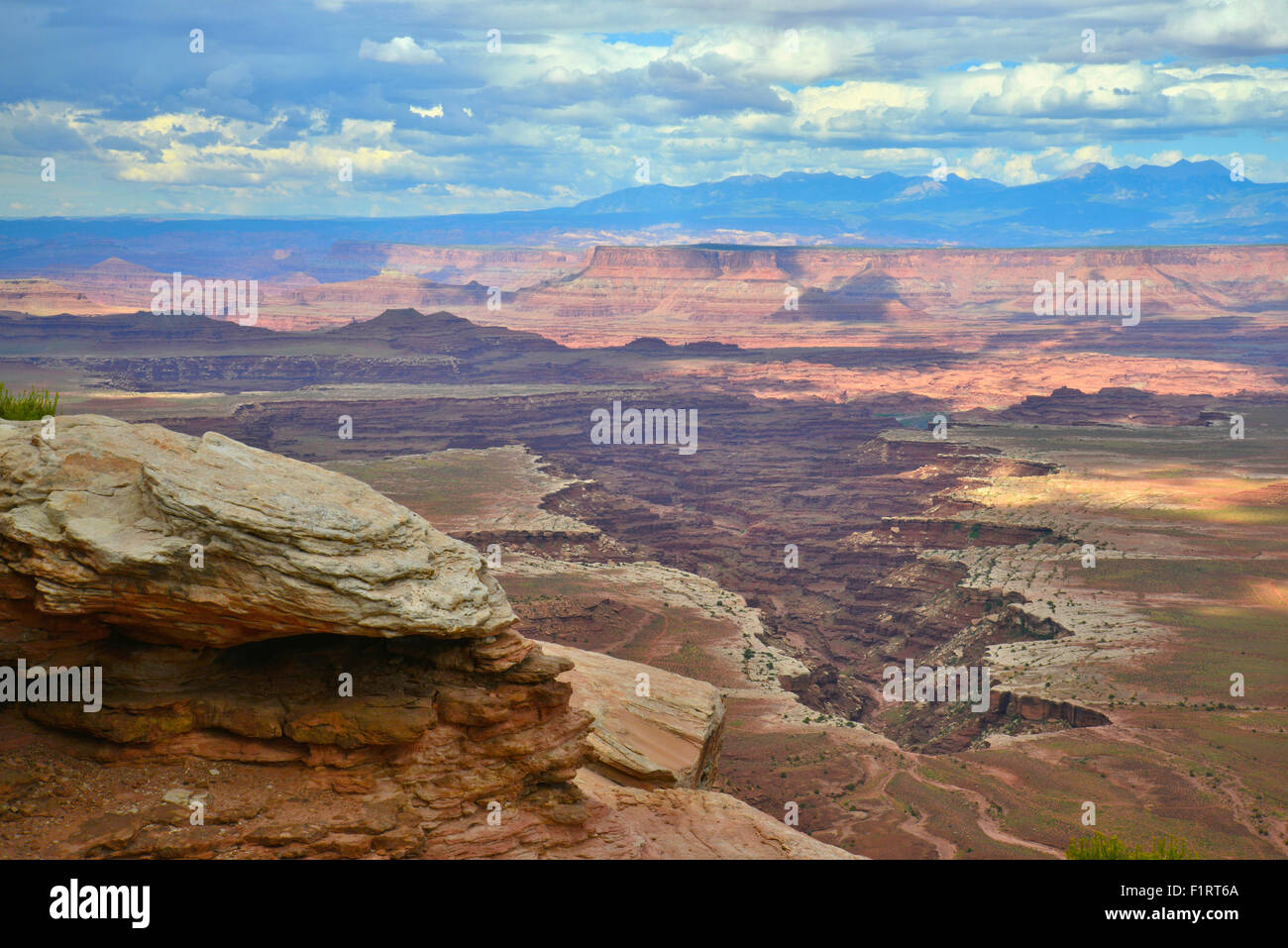 Avis de Buck Canyon Overlook dans Île de la Sky District de Canyonlands National Park dans l'Est de l'Utah Banque D'Images