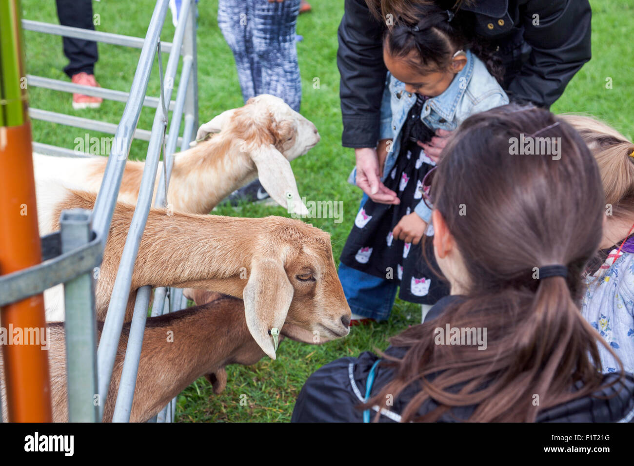 6 Septembre 2015 - Enfants feeing chèvres à Hyde Park, une partie de l'initiative de la RSPB Banque D'Images