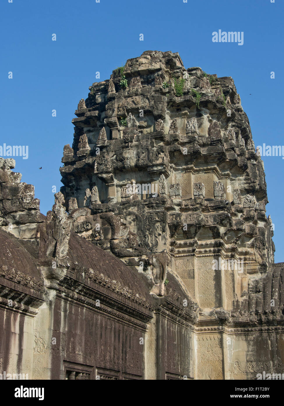 Parc archéologique d'Angkor Wat, Site du patrimoine mondial de l'UNESCO, Siem Reap, Cambodge, Indochine, Asie du Sud, Asie Banque D'Images