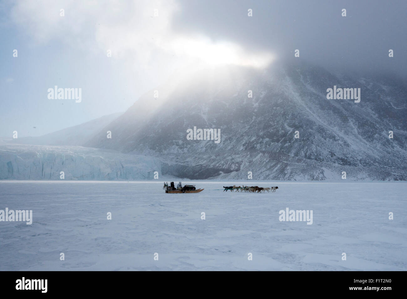 Chasseur inuit et son équipe de chiens voyageant sur la mer de glace, le Groenland, le Danemark, les régions polaires Banque D'Images