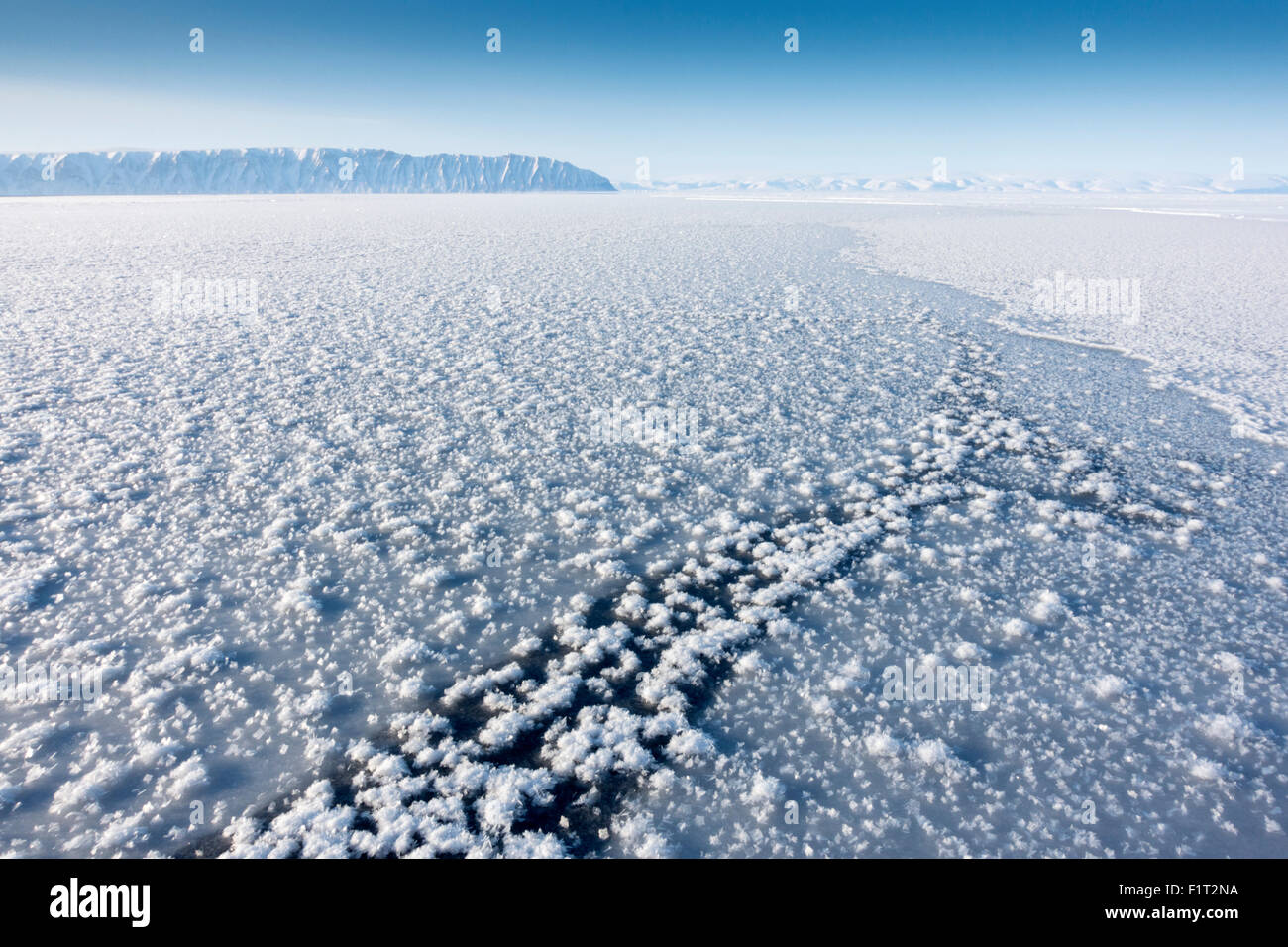 Fleurs de givre formé sur une fine couche de glace de mer lorsque l'atmosphère est beaucoup plus froid que la glace sous-jacente, le Groenland, le Danemark Banque D'Images