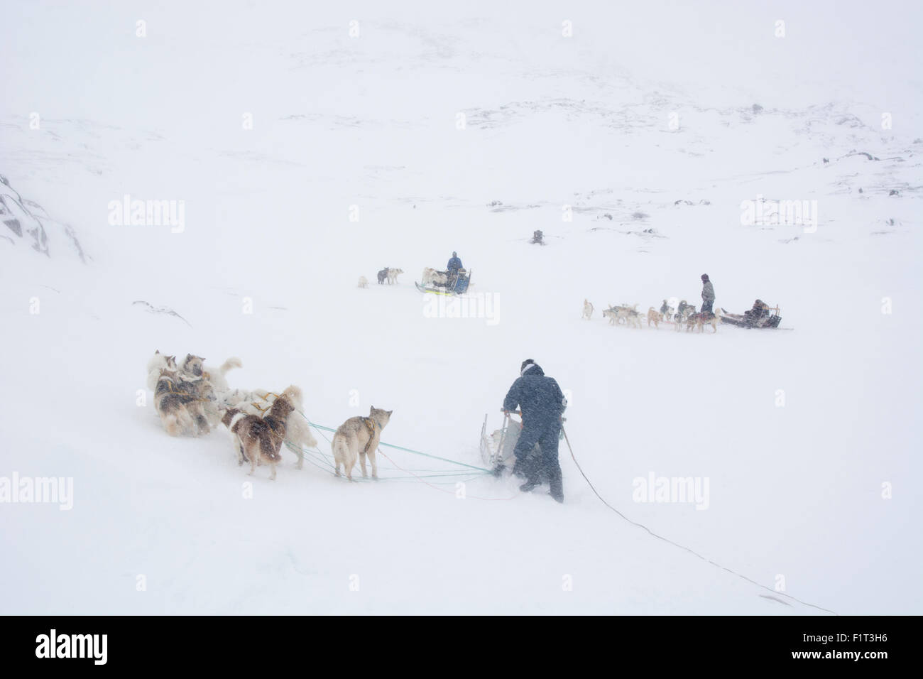 Traîneau à chiens, le Groenland, le Danemark, les régions polaires Banque D'Images