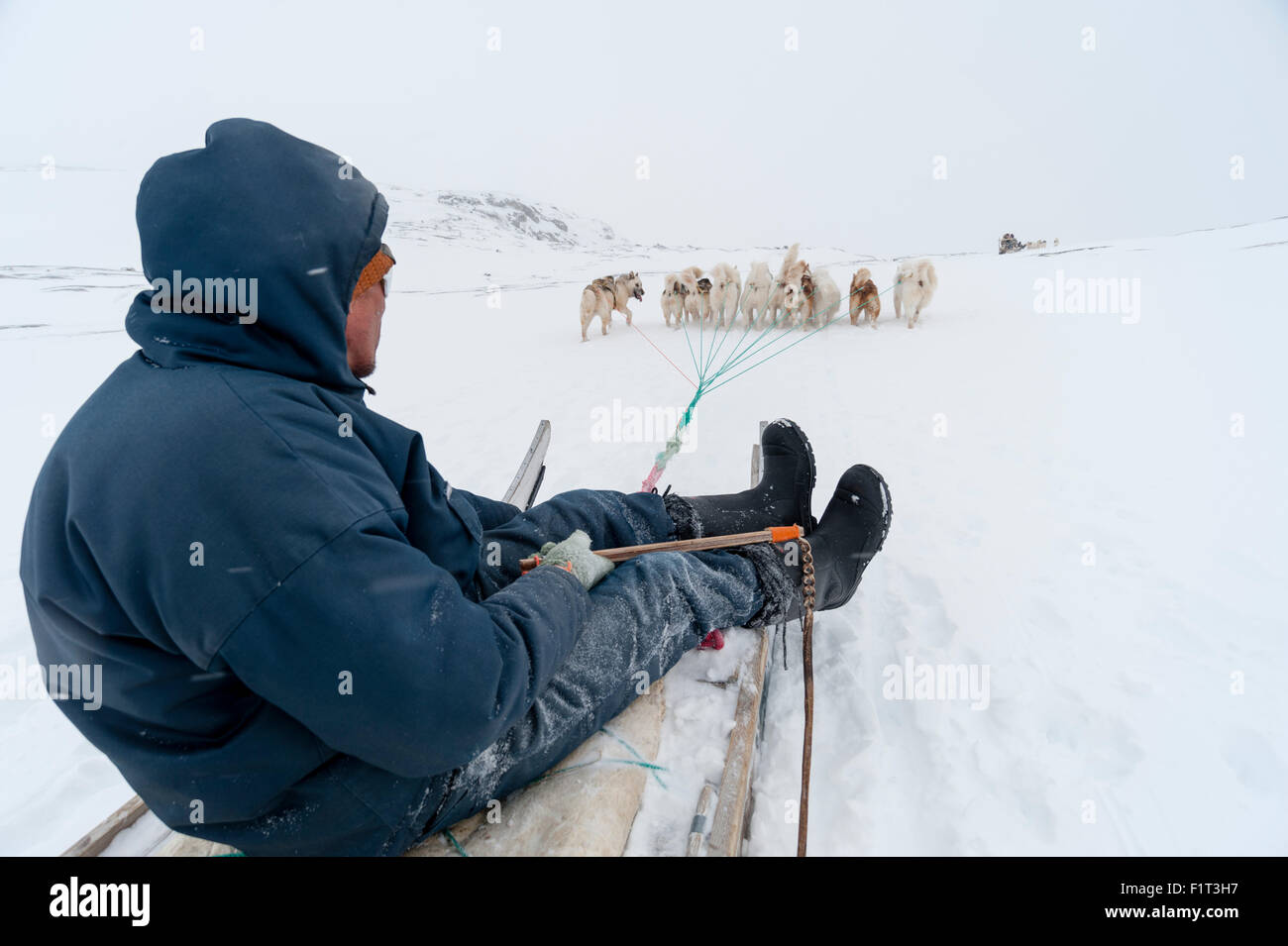 Traîneau à chiens, le Groenland, le Danemark, les régions polaires Banque D'Images