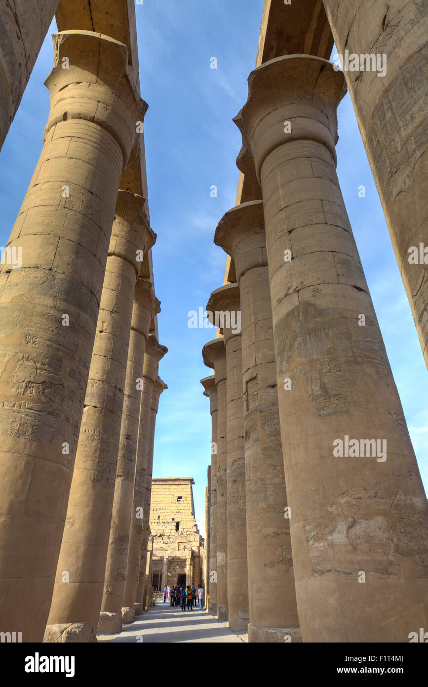 La colonnade d'Amenhotep III, le temple de Louxor, Louxor, Thèbes, Site du patrimoine mondial de l'UNESCO, l'Égypte, l'Afrique du Nord, Afrique Banque D'Images