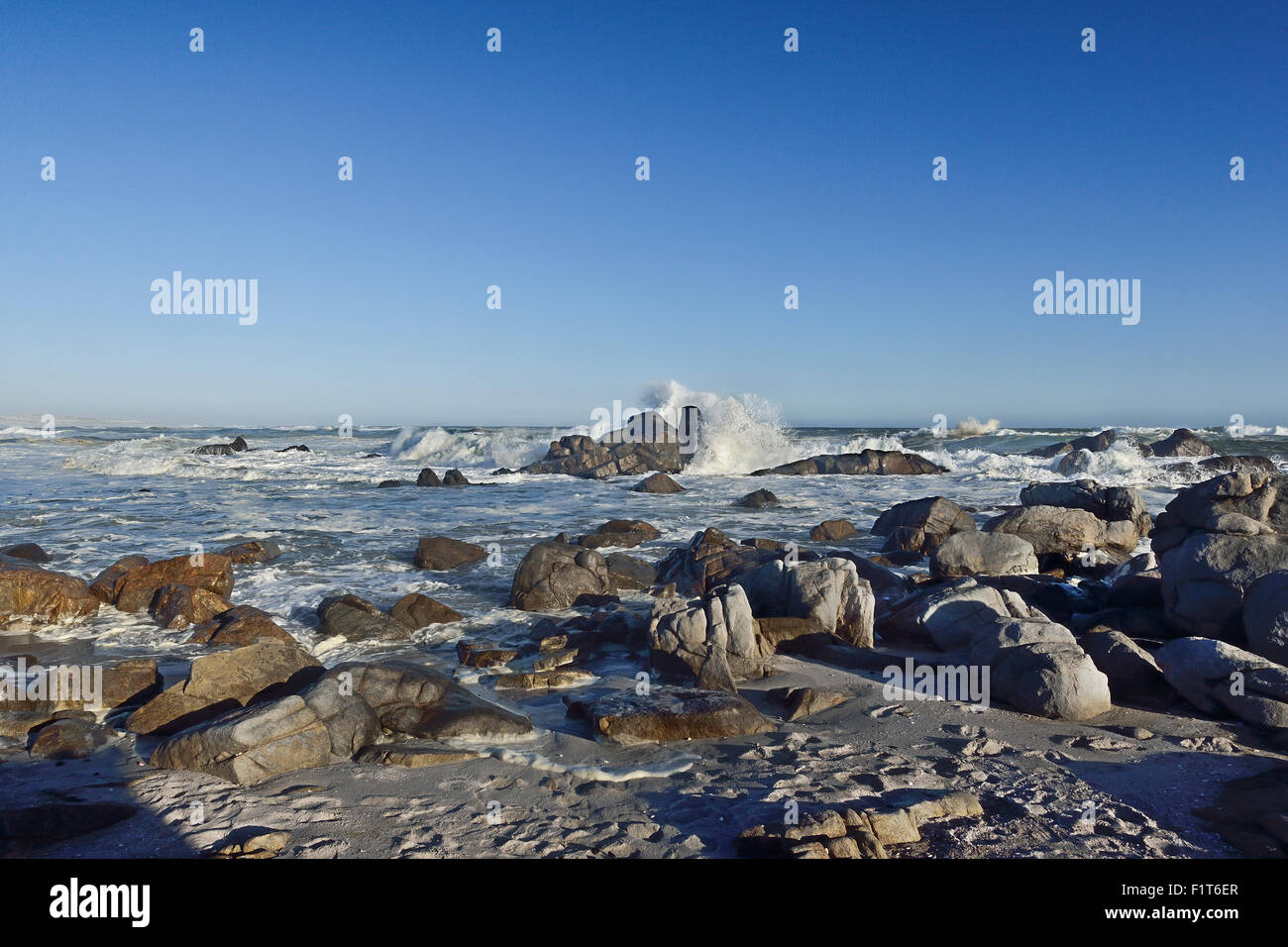 L'Afrique du Sud, de la côte ouest de NP, la zone de protection marine, Tsaarsbank Banque D'Images