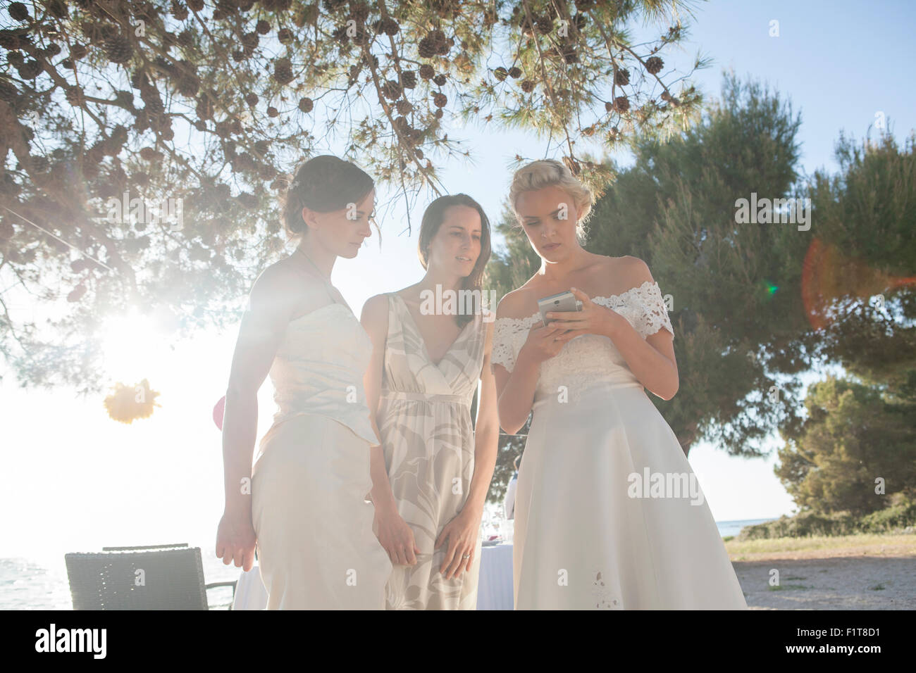 Mariée et demoiselles d'text messaging on fête de mariage Banque D'Images