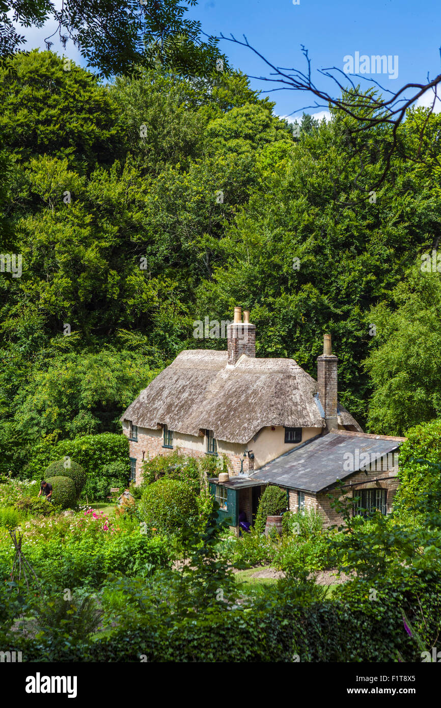 Hardy's Cottage, lieu de naissance de l'écrivain Thomas Hardy, Thorncombe supérieur, Bois, près de Bockhampton Dorchester, Dorset, England, UK Banque D'Images