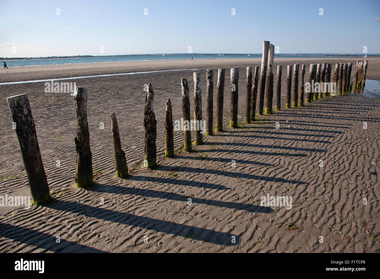 Poteaux de bois dans la plage à marée basse, la plage de West Wittering, dans le district de Chichester dans le West Sussex, Angleterre, Royaume-Uni Banque D'Images
