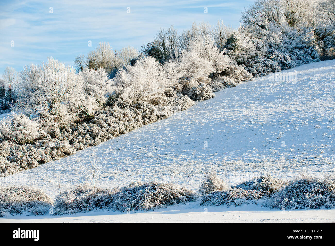 Superbe paysage d'hiver dans le comté de Cavan, Irlande Banque D'Images
