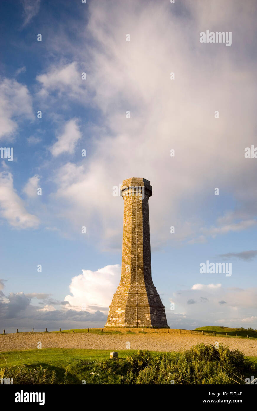 Hardy's Monument sur noir vers le bas au-dessus du village d'Portesham, Dorset, Angleterre. Banque D'Images
