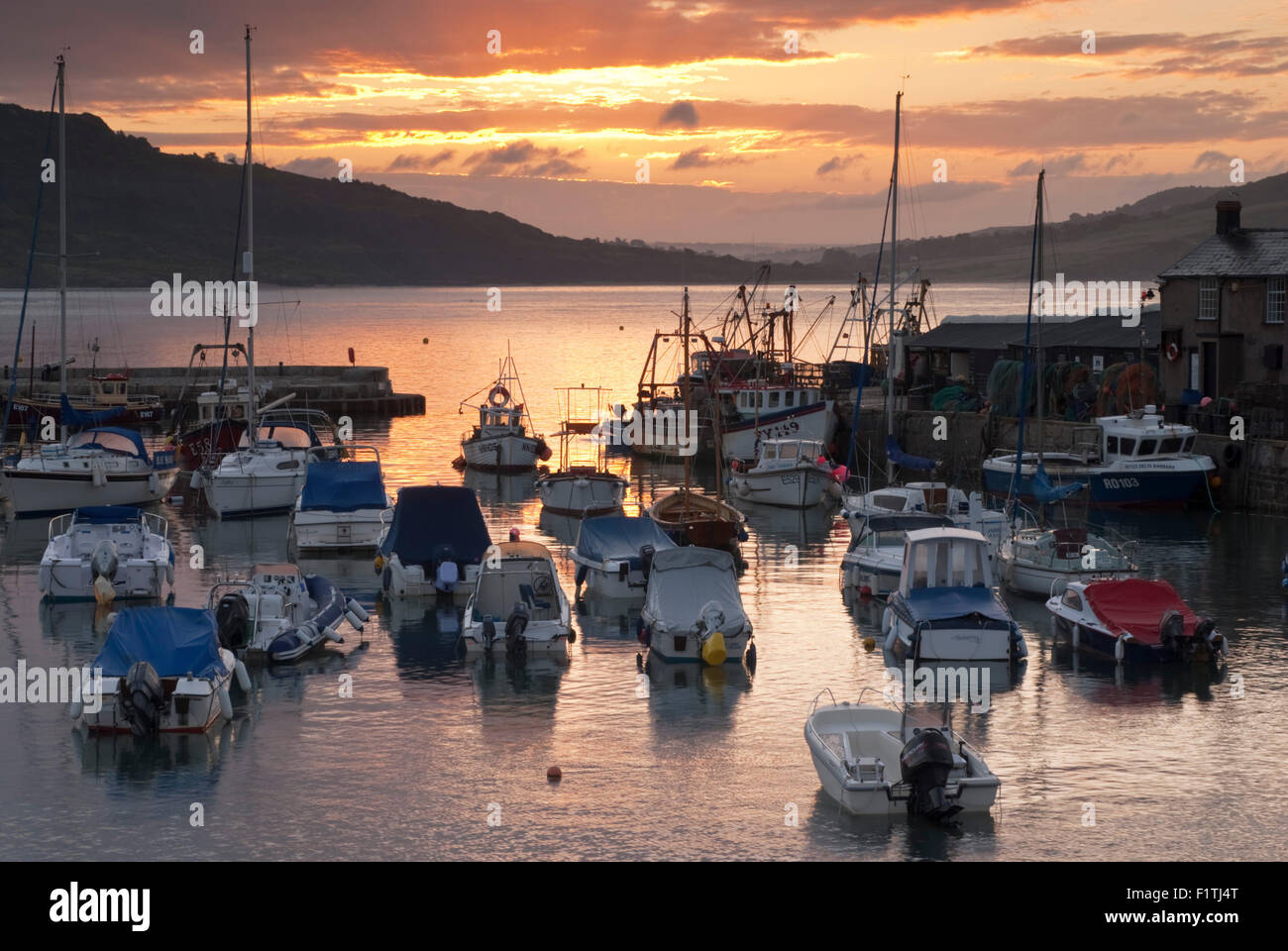 L'aube au port de Cobb à Lyme Regis sur la côte jurassique du Dorset, Angleterre, Royaume-Uni. Banque D'Images