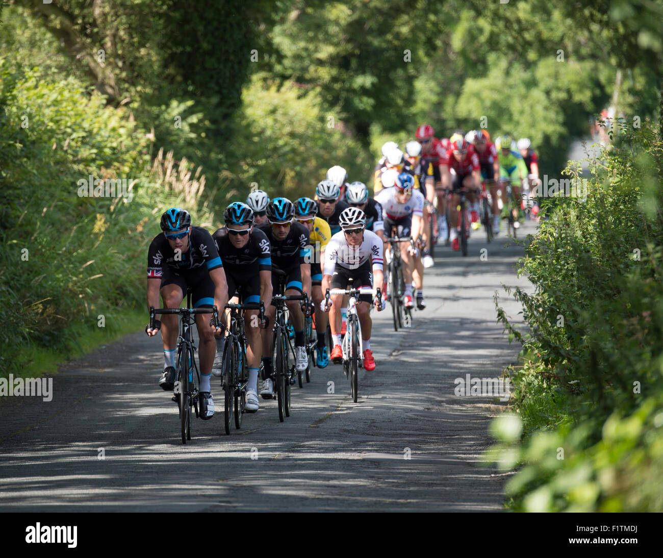 M. Downham village, Lancashire, Royaume-Uni. 7 Septembre, 2015. Étape 2 Aviva Tour of Britain course à vélo dans la vallée de Ribble, Lancashire. L'équipe Sky à la tête du peloton. Crédit : STEPHEN FLEMING/Alamy Live News Banque D'Images