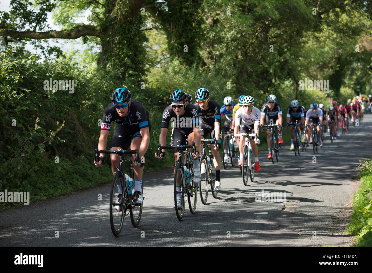 M. Downham village, Lancashire, Royaume-Uni. 7 Septembre, 2015. Étape 2 Aviva Tour of Britain course à vélo dans la vallée de Ribble, Lancashire. L'équipe Sky à la tête du peloton. Crédit : STEPHEN FLEMING/Alamy Live News Banque D'Images