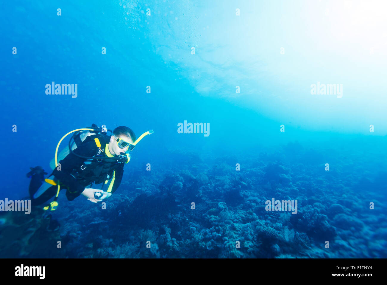 Silhouette de Scuba Diver proche mer bas avec Copyspace Banque D'Images
