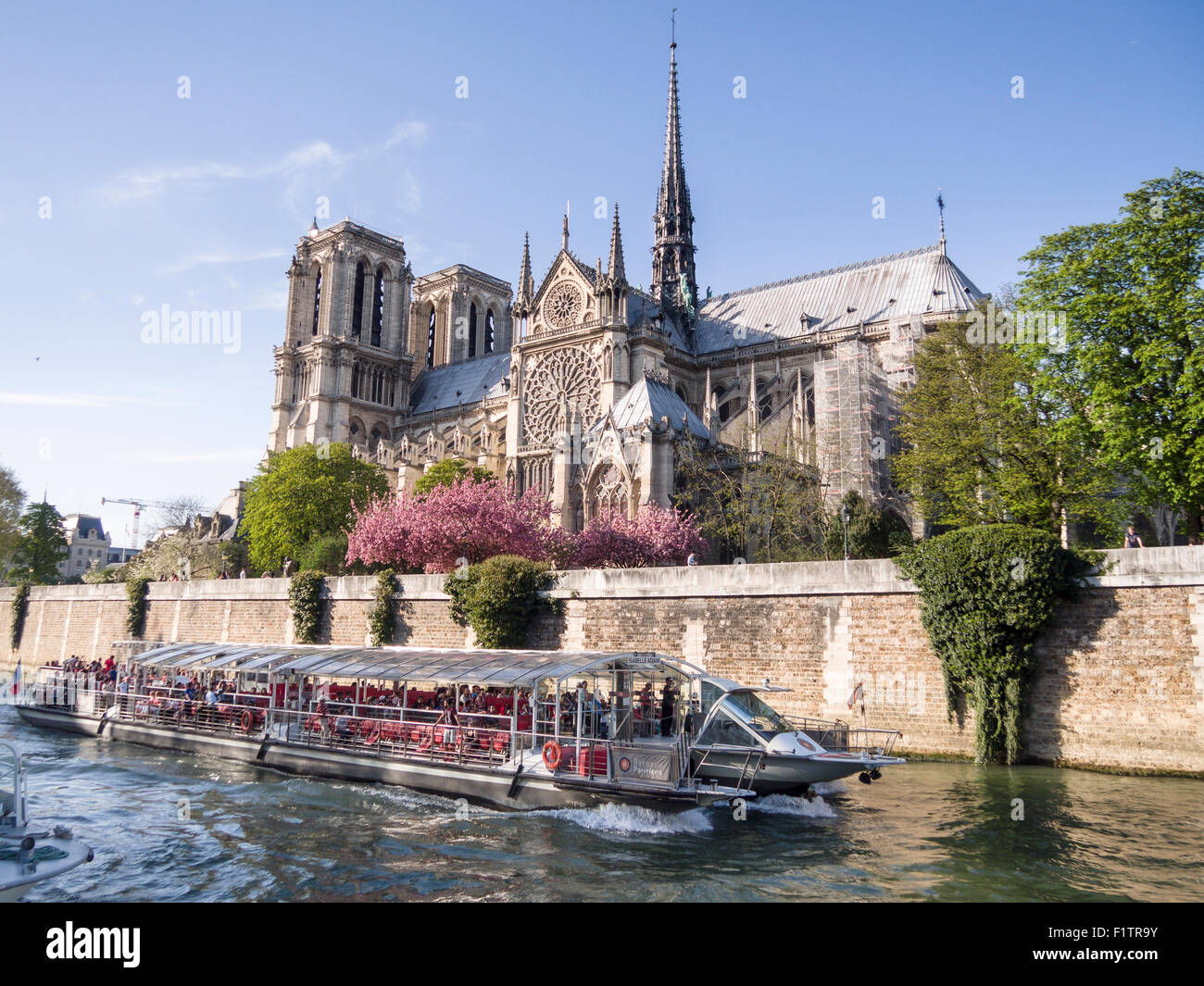 La cathédrale Notre-Dame et la Seine, cruiser. Le fleuve muré et un voile forme une base pour cette vue de la célèbre cathédrale Banque D'Images