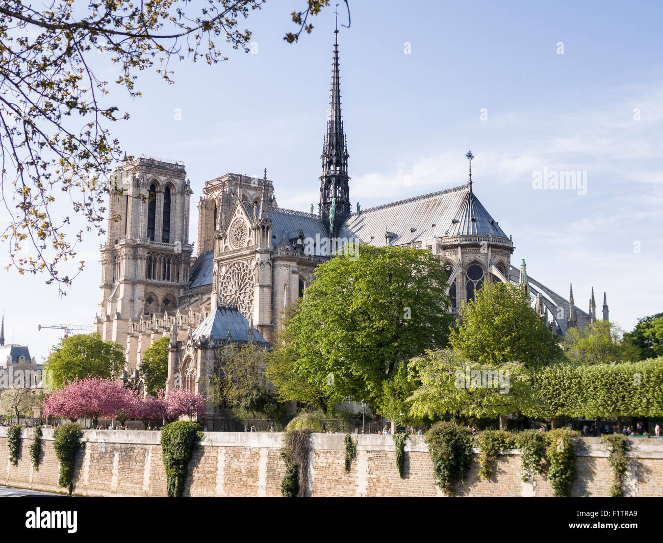 Cathédrale Notre-Dame de l'autre côté de la Seine. Le mur de la rivière canalisée forme une base pour cette vue de la célèbre cathédrale. Banque D'Images