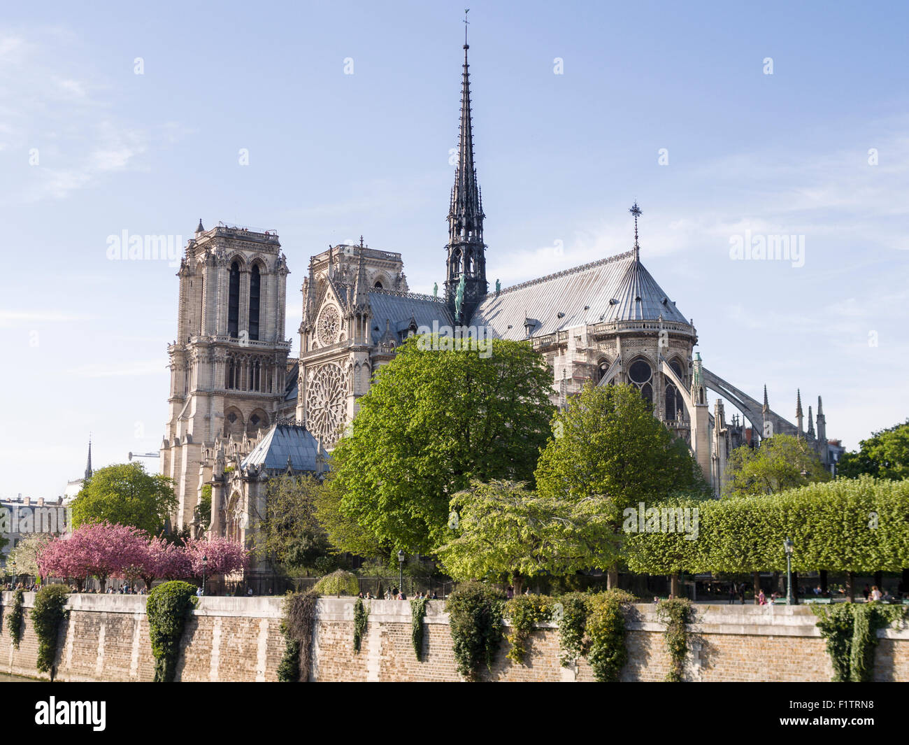 Cathédrale Notre-Dame de l'autre côté de la Seine. Le mur de la rivière canalisée forme une base pour cette vue de la célèbre cathédrale Banque D'Images
