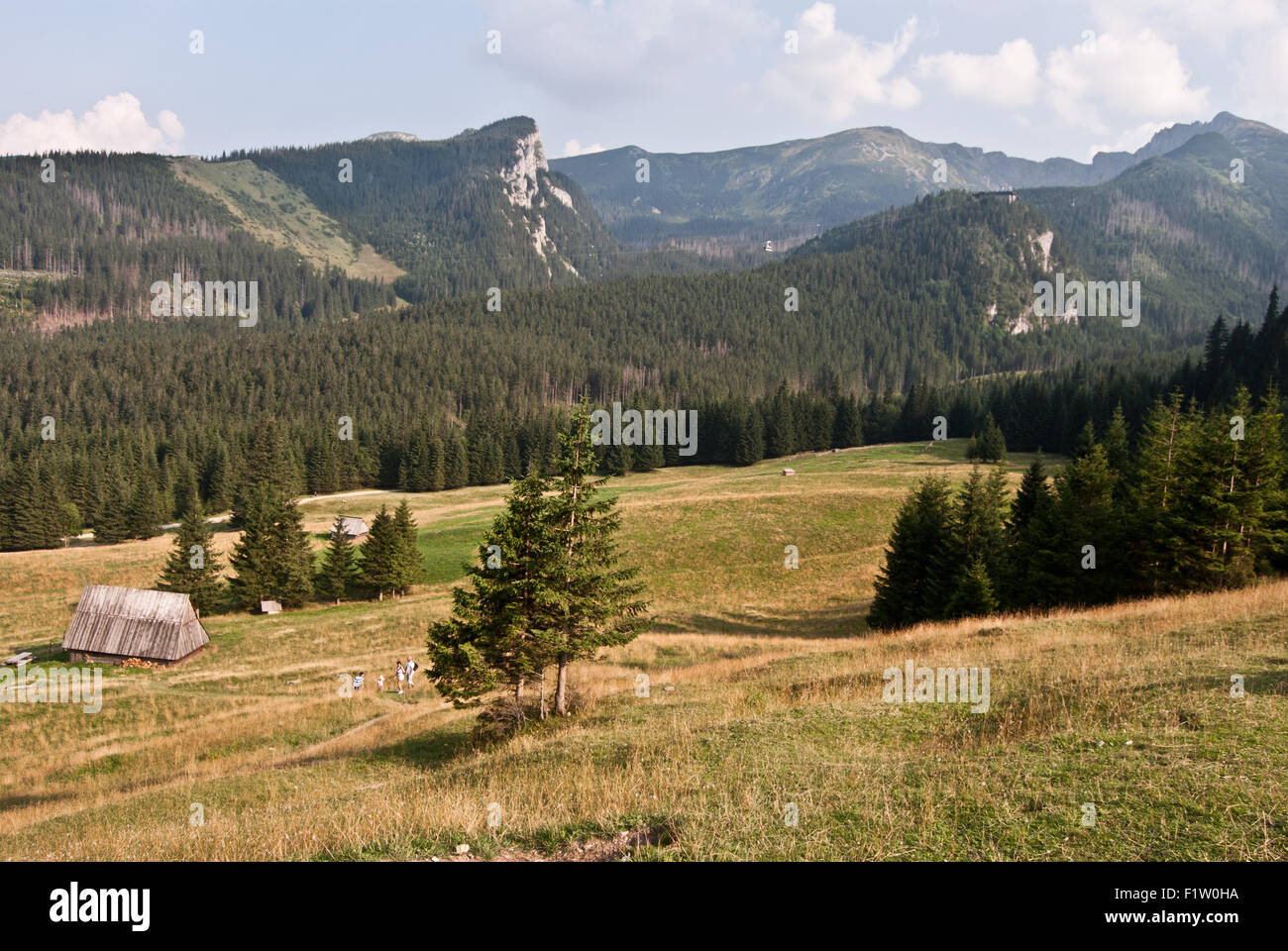 Vue de montagnes Tatry de Kalatowki chalet avec prairie, cabane, arbre isolé et les collines et pic autour de Banque D'Images