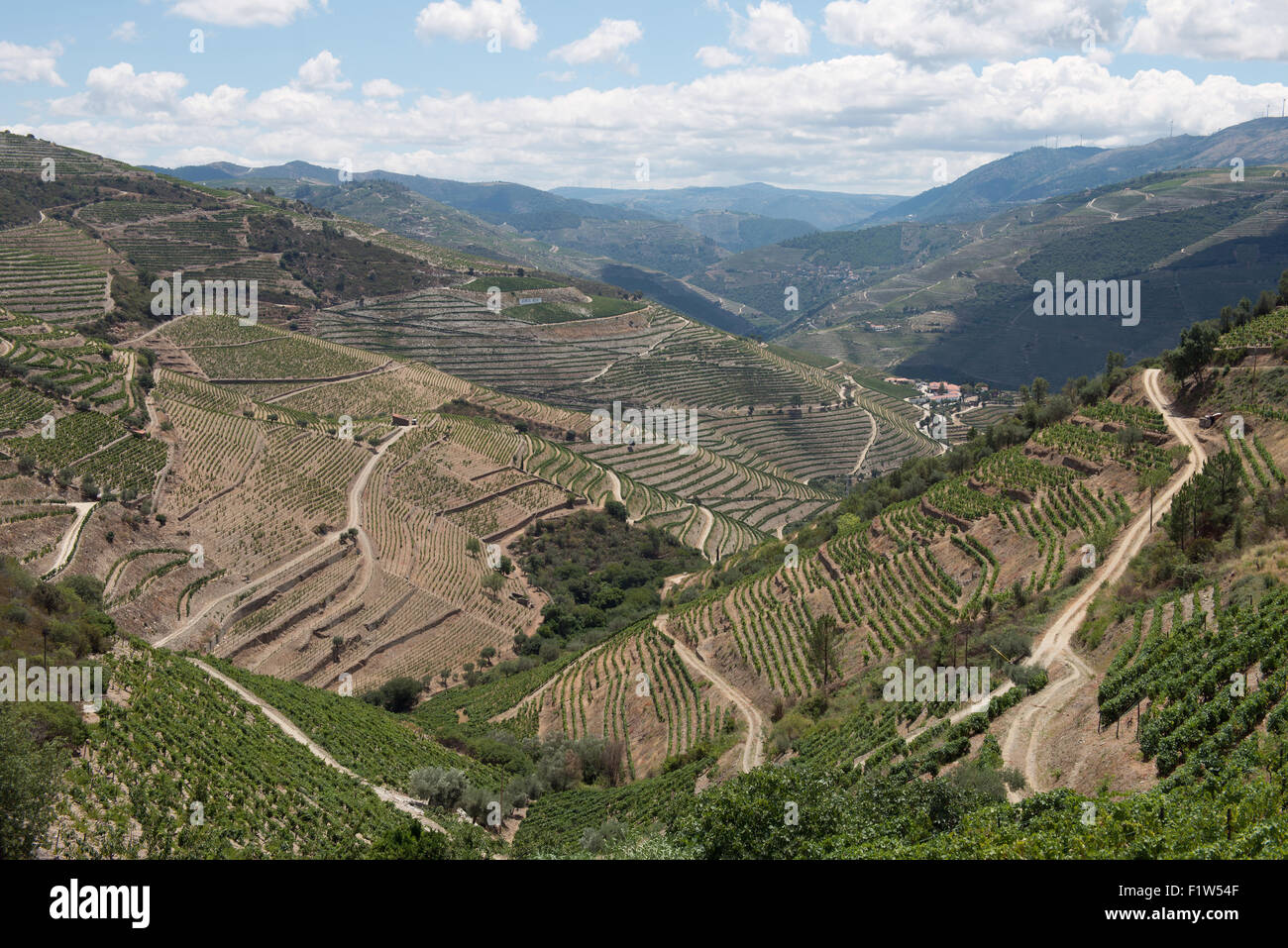 Les vallées qui s'étendent de la vallée du Douro sont traversés par des routes et des vignobles à épaulement. La Vallée du Douro, Portugal. 2 juillet Banque D'Images