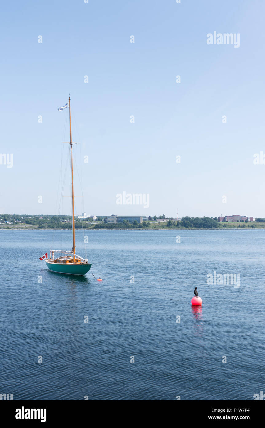 Bateau dans le port de Halifax avec un cormoran sur une bouée. Banque D'Images