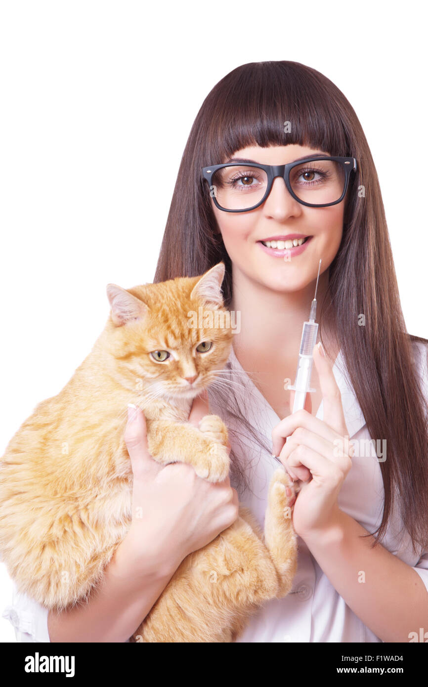 Vétérinaire avec une seringue dans la main est titulaire d'un chat rouge Banque D'Images