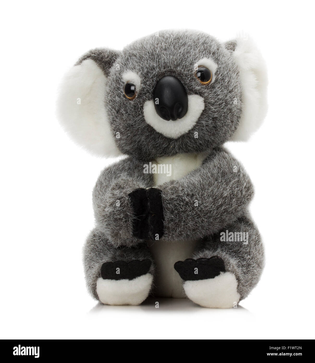 Koala en peluche jouet isolé sur un fond blanc. Banque D'Images