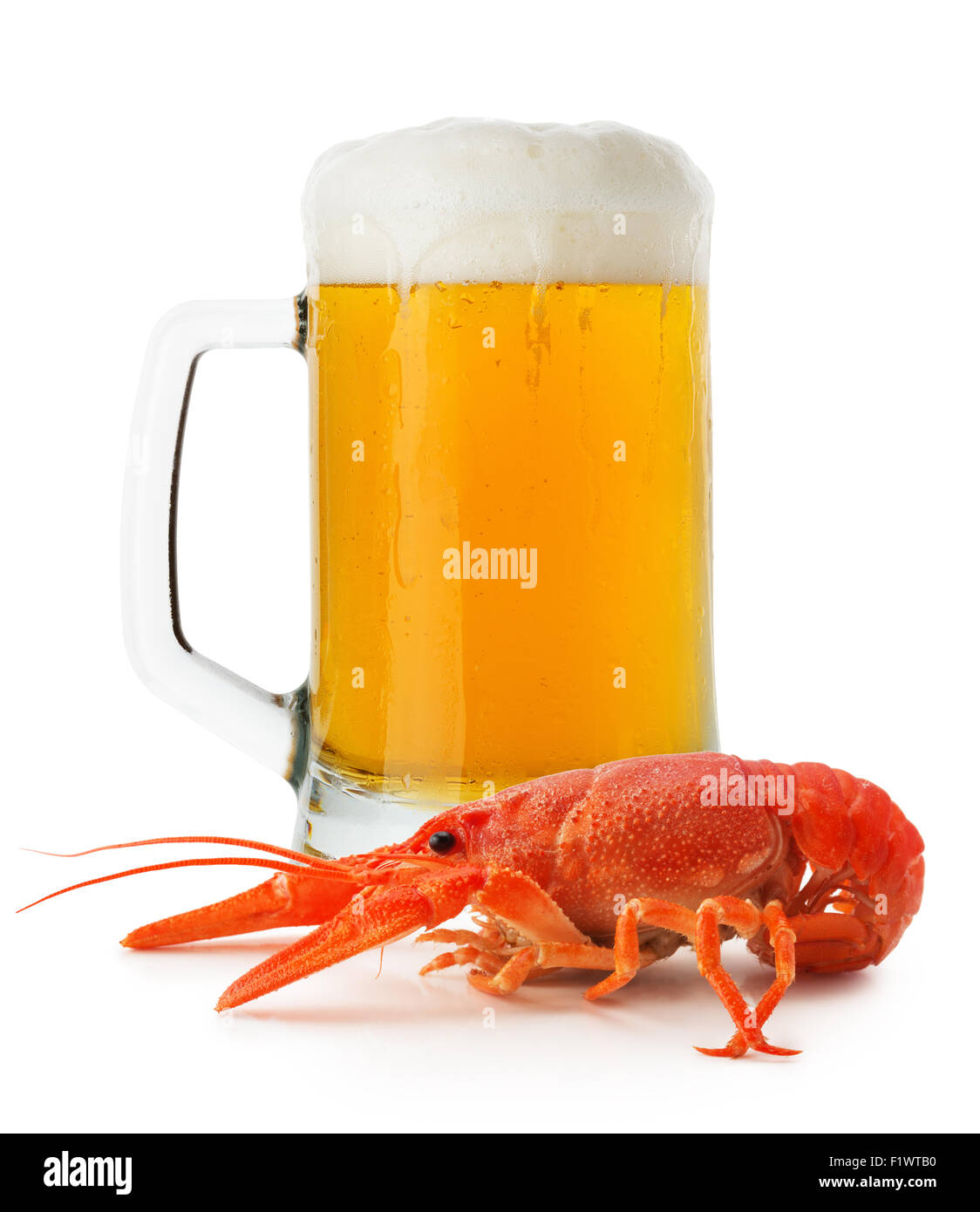 Pichet de bière avec le homard isolé sur le fond blanc. Banque D'Images