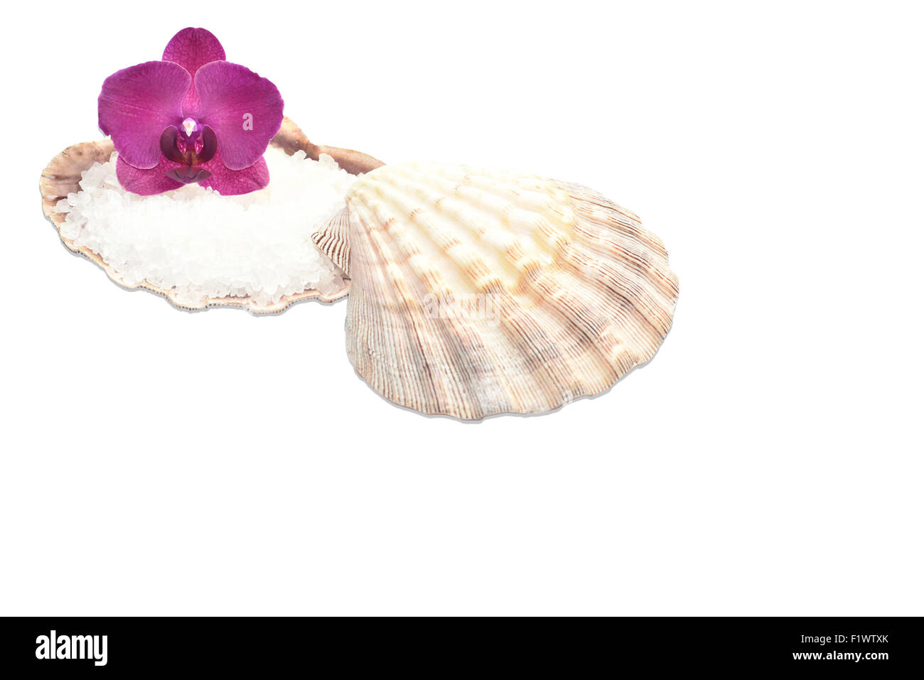 Orchid sur un coquillage avec sel de mer,décor spa Banque D'Images