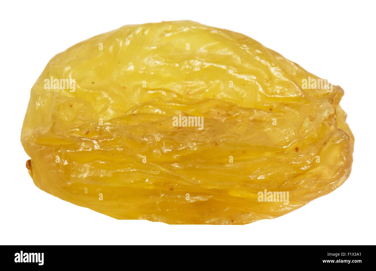 Seul le raisin isolé sur fond blanc. Banque D'Images