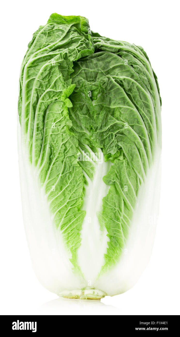 Chou chinois isolé sur un fond blanc. Banque D'Images