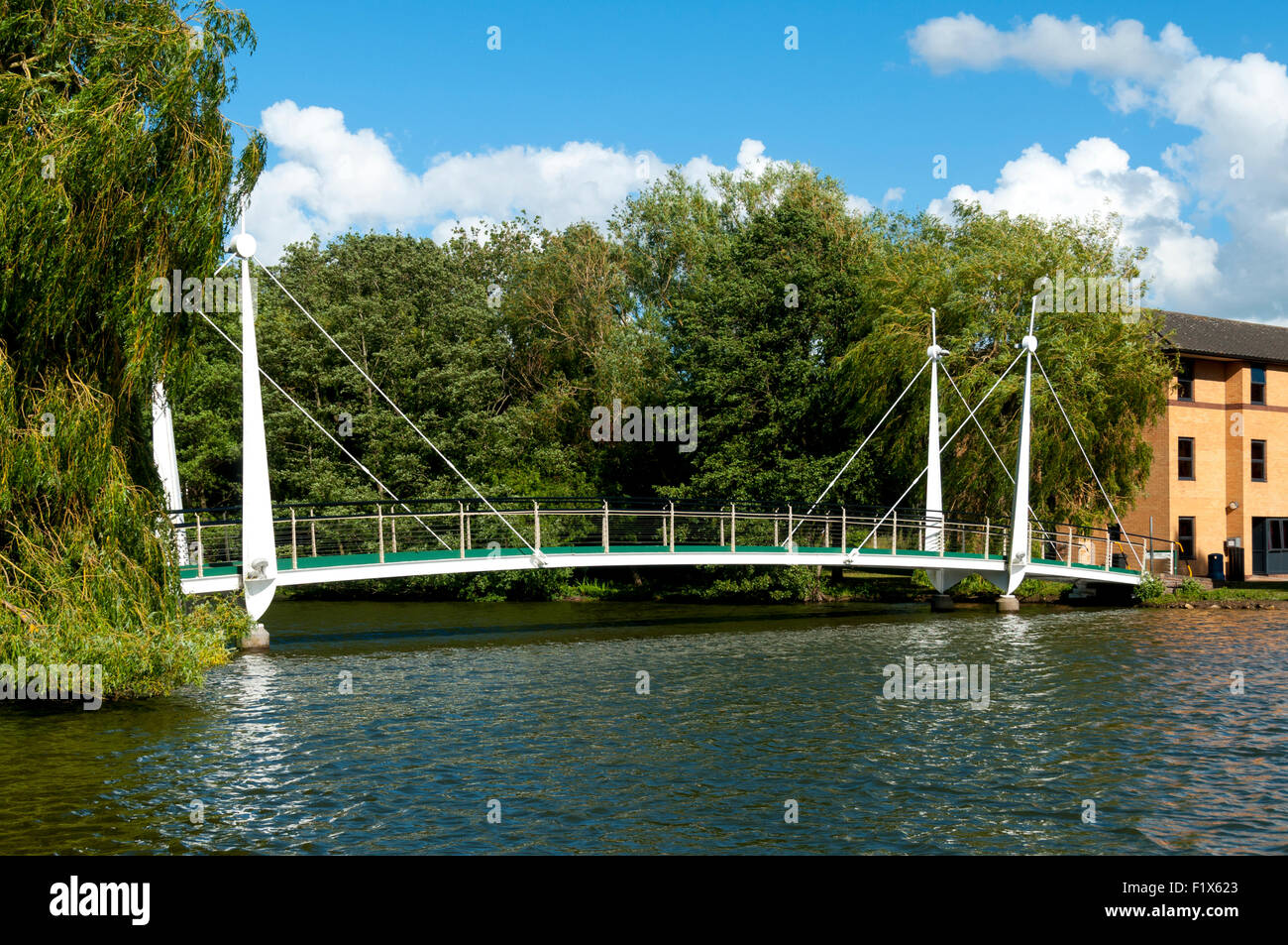 Passerelle sur le lac à l'Université de York Heslington Campus, ville de York, Yorkshire, Angleterre, Royaume-Uni Banque D'Images