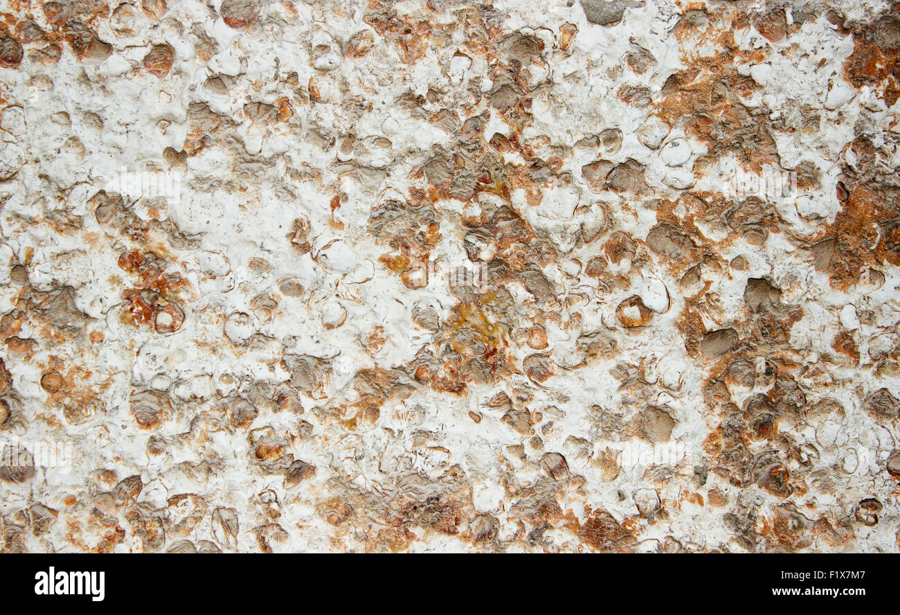 Stone texture background. Banque D'Images