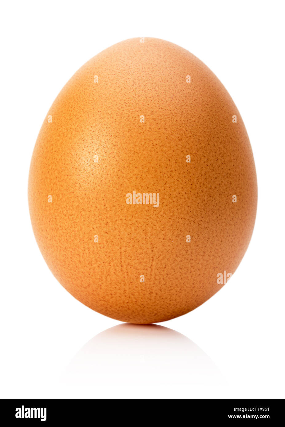 Oeuf de poule isolé sur le fond blanc. Banque D'Images