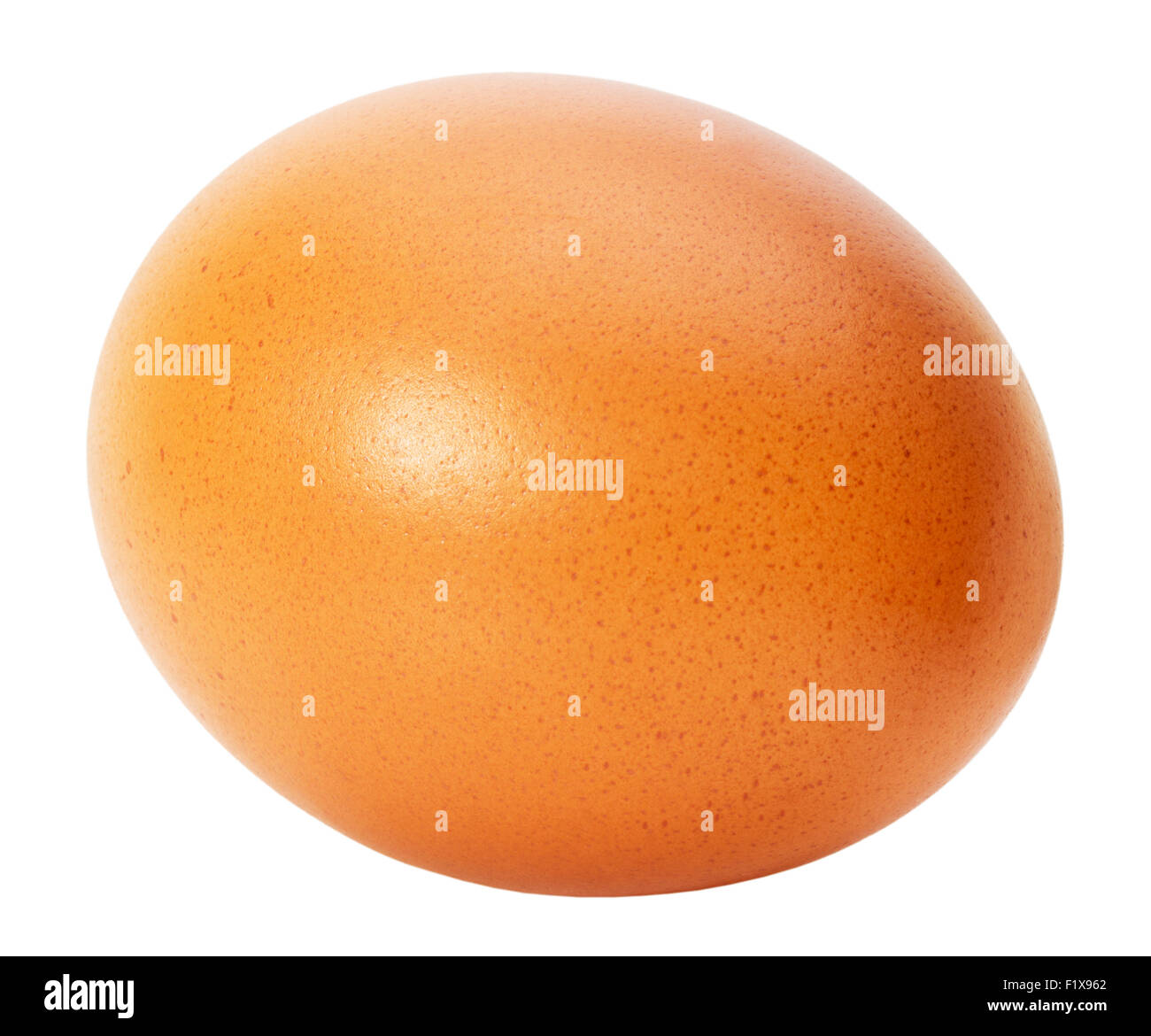 Oeuf de poule isolé sur le fond blanc. Banque D'Images