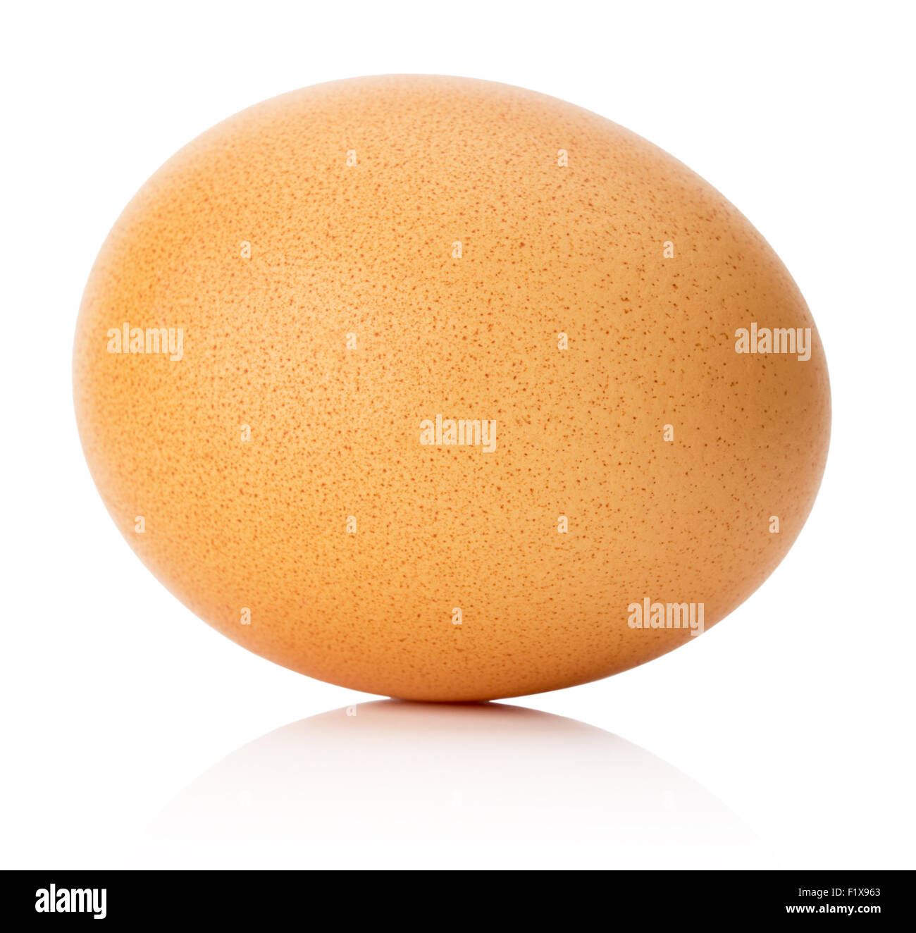 Oeuf de poule isolé sur le fond blanc. Banque D'Images